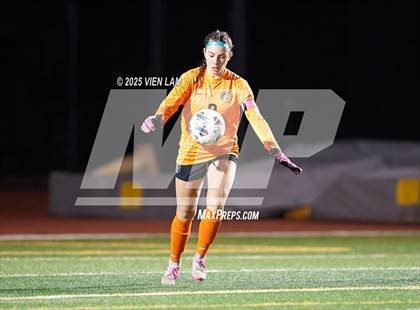 Thumbnail 1 in Petaluma vs. Castro Valley (CIF NCS Division 3 Semifinals) photogallery.