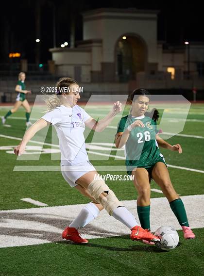 Thumbnail 2 in Petaluma vs. Castro Valley (CIF NCS Division 3 Semifinals) photogallery.
