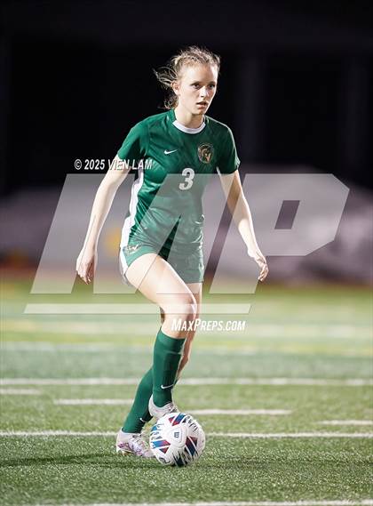 Thumbnail 2 in Petaluma vs. Castro Valley (CIF NCS Division 3 Semifinals) photogallery.