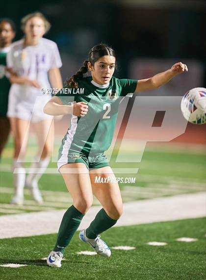 Thumbnail 1 in Petaluma vs. Castro Valley (CIF NCS Division 3 Semifinals) photogallery.