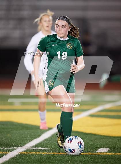 Thumbnail 1 in Petaluma vs. Castro Valley (CIF NCS Division 3 Semifinals) photogallery.