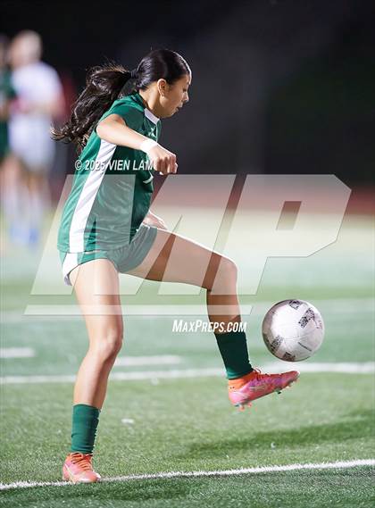 Thumbnail 2 in Petaluma vs. Castro Valley (CIF NCS Division 3 Semifinals) photogallery.