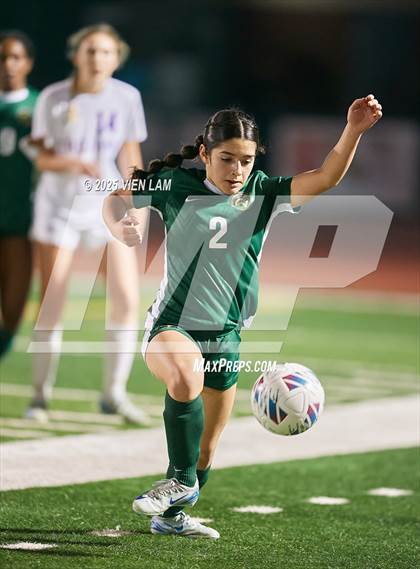 Thumbnail 2 in Petaluma vs. Castro Valley (CIF NCS Division 3 Semifinals) photogallery.