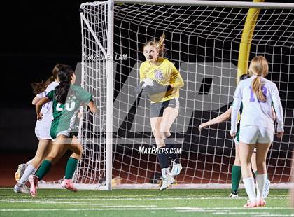 Thumbnail 2 in Petaluma vs. Castro Valley (CIF NCS Division 3 Semifinals) photogallery.