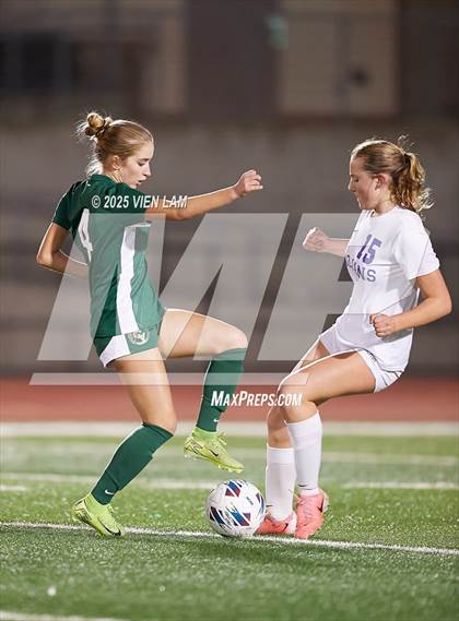 Thumbnail 1 in Petaluma vs. Castro Valley (CIF NCS Division 3 Semifinals) photogallery.