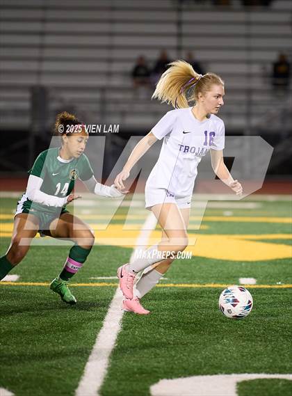 Thumbnail 3 in Petaluma vs. Castro Valley (CIF NCS Division 3 Semifinals) photogallery.