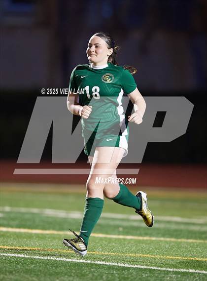 Thumbnail 3 in Petaluma vs. Castro Valley (CIF NCS Division 3 Semifinals) photogallery.