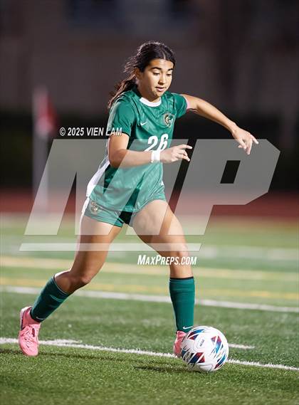 Thumbnail 3 in Petaluma vs. Castro Valley (CIF NCS Division 3 Semifinals) photogallery.