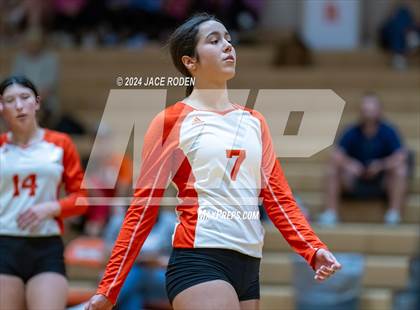 Thumbnail 2 in Kirbyville @ Orangefield photogallery.