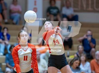 Thumbnail 3 in Kirbyville @ Orangefield photogallery.