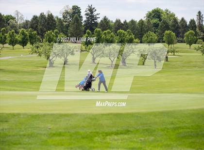 Thumbnail 3 in Section 9 Girls Golf Championship (Day 2) photogallery.