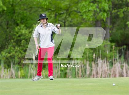 Thumbnail 1 in Section 9 Girls Golf Championship (Day 2) photogallery.