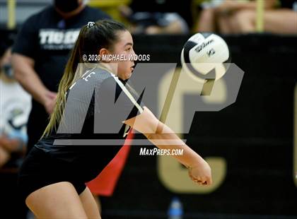Thumbnail 1 in Fayetteville @ Bentonville photogallery.