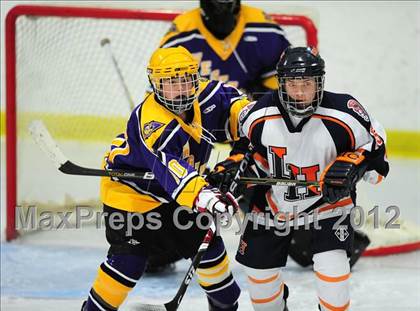Thumbnail 3 in Westhill @ Lyman Hall photogallery.