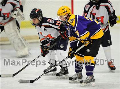 Thumbnail 3 in Westhill @ Lyman Hall photogallery.
