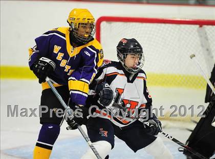Thumbnail 3 in Westhill @ Lyman Hall photogallery.