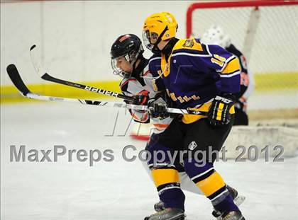 Thumbnail 3 in Westhill @ Lyman Hall photogallery.