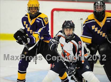 Thumbnail 1 in Westhill @ Lyman Hall photogallery.