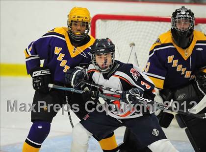Thumbnail 2 in Westhill @ Lyman Hall photogallery.