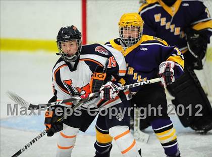 Thumbnail 3 in Westhill @ Lyman Hall photogallery.