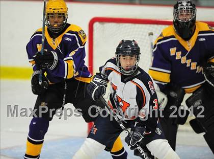 Thumbnail 3 in Westhill @ Lyman Hall photogallery.
