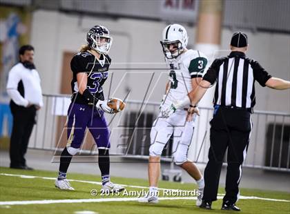 Thumbnail 2 in Skyline @ Lake Stevens (WIAA 4A Semifinal) photogallery.