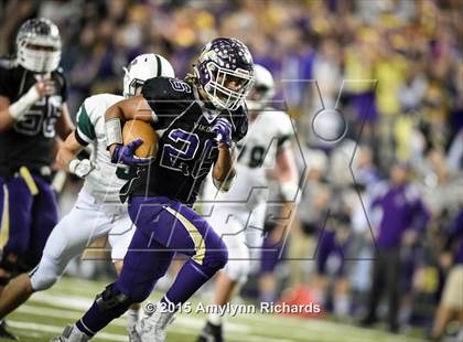 Thumbnail 3 in Skyline @ Lake Stevens (WIAA 4A Semifinal) photogallery.