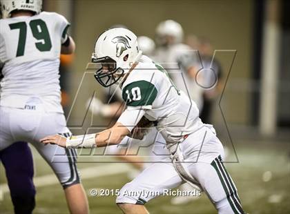 Thumbnail 3 in Skyline @ Lake Stevens (WIAA 4A Semifinal) photogallery.