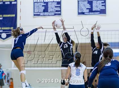Thumbnail 1 in Robinson @ Berkeley Prep photogallery.