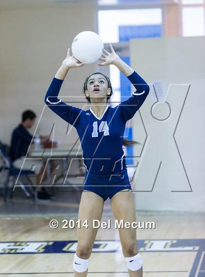 Thumbnail 3 in Robinson @ Berkeley Prep photogallery.