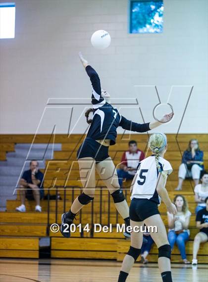 Thumbnail 1 in Robinson @ Berkeley Prep photogallery.