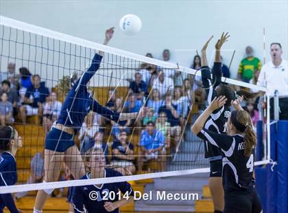 Thumbnail 1 in Robinson @ Berkeley Prep photogallery.