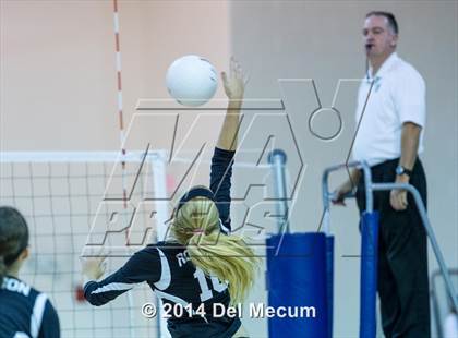 Thumbnail 2 in Robinson @ Berkeley Prep photogallery.
