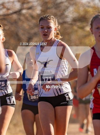 Thumbnail 2 in CHSAA 3A Cross Country Final photogallery.