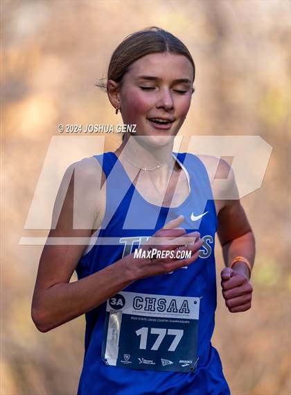 Thumbnail 1 in CHSAA 3A Cross Country Final photogallery.