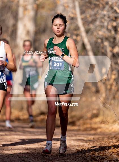 Thumbnail 1 in CHSAA 3A Cross Country Final photogallery.