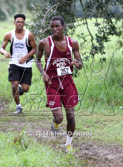 Thumbnail 1 in Mt Carmel Invitational  photogallery.