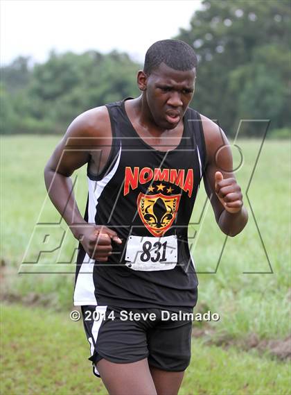 Thumbnail 1 in Mt Carmel Invitational  photogallery.