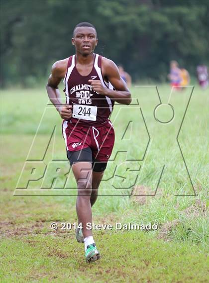 Thumbnail 2 in Mt Carmel Invitational  photogallery.