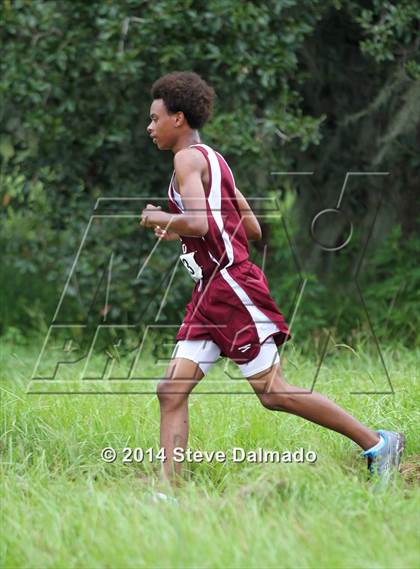 Thumbnail 3 in Mt Carmel Invitational  photogallery.