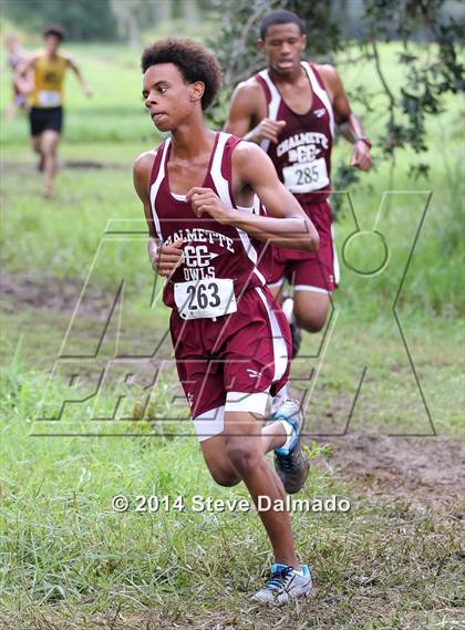 Thumbnail 2 in Mt Carmel Invitational  photogallery.