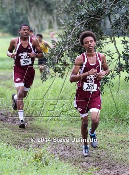Thumbnail 1 in Mt Carmel Invitational  photogallery.