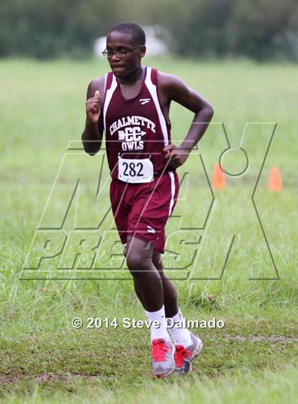Thumbnail 2 in Mt Carmel Invitational  photogallery.