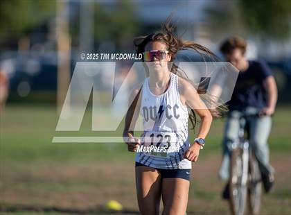 Thumbnail 1 in Boulder Creek Cross Country Invitational photogallery.