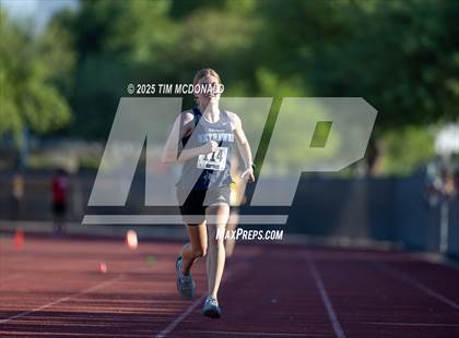 Thumbnail 3 in Boulder Creek Cross Country Invitational photogallery.