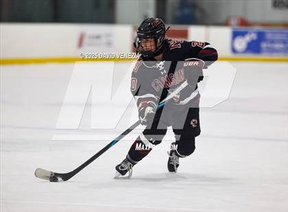 Thumbnail 3 in Summit @ morristown Beard photogallery.