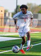 Photo from the gallery "Hayfield @ Oakton"