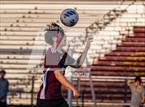 Photo from the gallery "Hayfield @ Oakton"