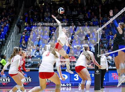 Thumbnail 1 in Bellville vs. Decatur (UIL 4A Volleyball Division I Final) photogallery.