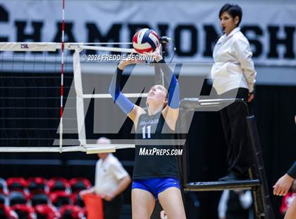 Thumbnail 3 in Bellville vs. Decatur (UIL 4A Volleyball Division I Final) photogallery.